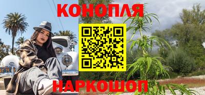 прущие грибы Кандалакша