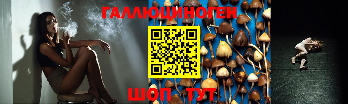 Мыски  Галлюциногенные грибы ЛСД  Вход с VPN 